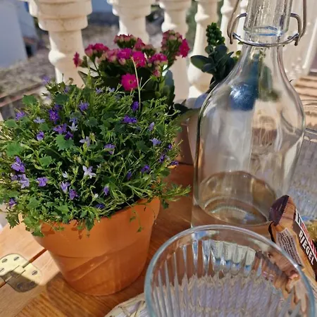 Lejlighed Seabreeze *